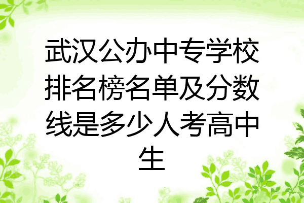 武汉公办中专学校排名榜名单及分数线是多少人考高中生