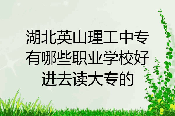 湖北英山理工中专有哪些职业学校好进去读大专的