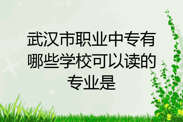武汉市职业中专有哪些学校可以读的专业是