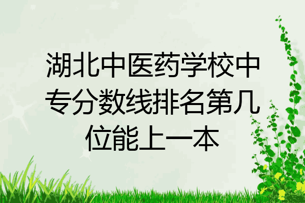 湖北中医药学校中专分数线排名第几位能上一本