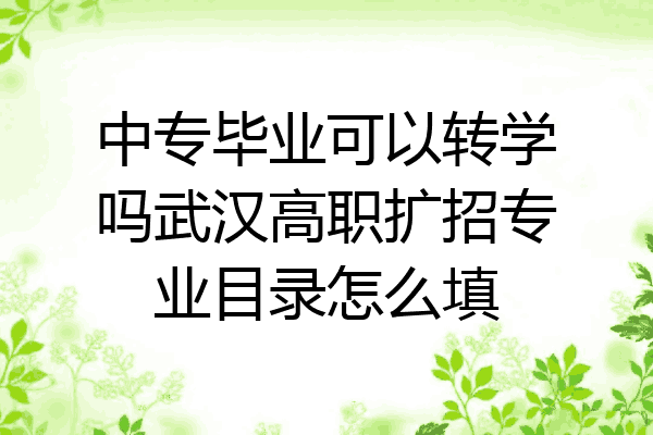 中专毕业可以转学吗武汉高职扩招专业目录怎么填
