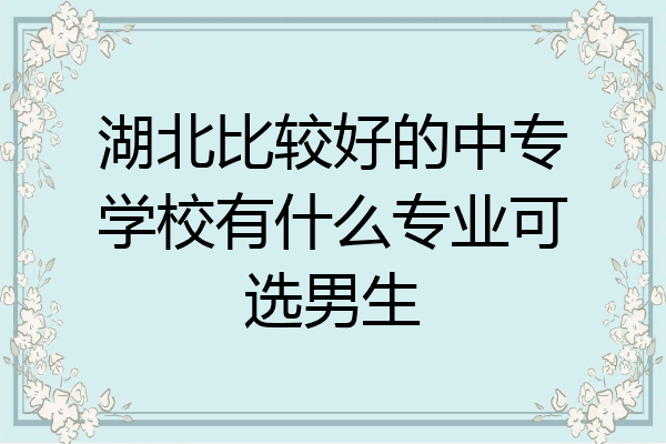 湖北比较好的中专学校有什么专业可选男生