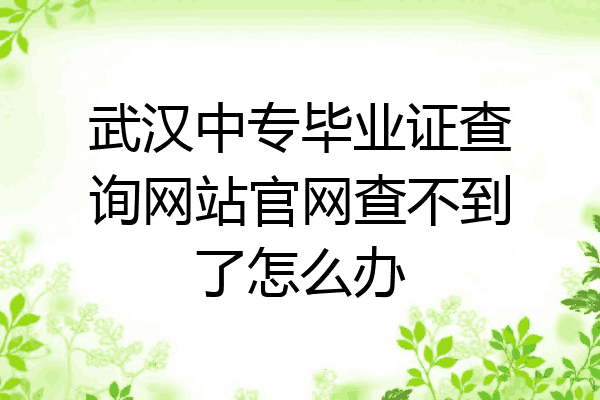 武汉中专毕业证查询网站官网查不到了怎么办