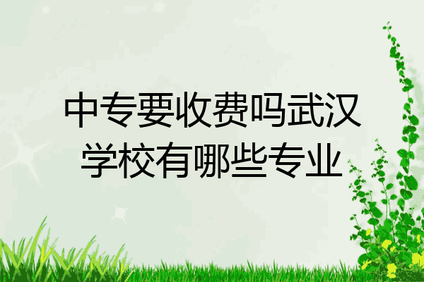 中专要收费吗武汉学校有哪些专业