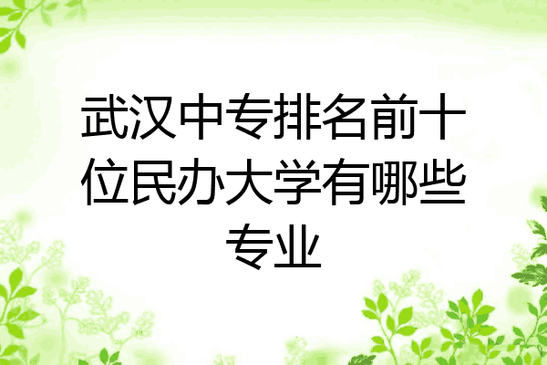 武汉中专排名前十位民办大学有哪些专业
