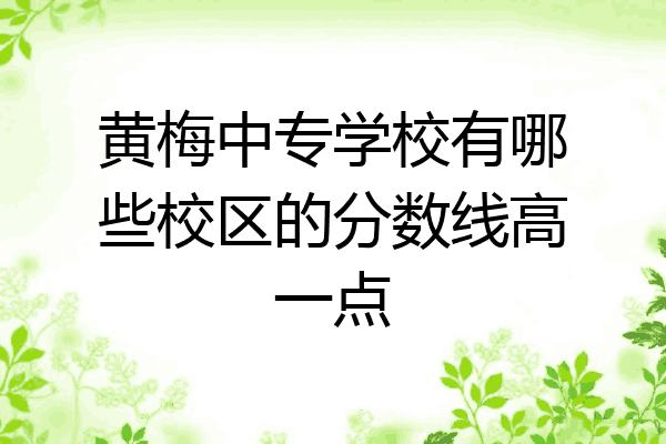 黄梅中专学校有哪些校区的分数线高一点