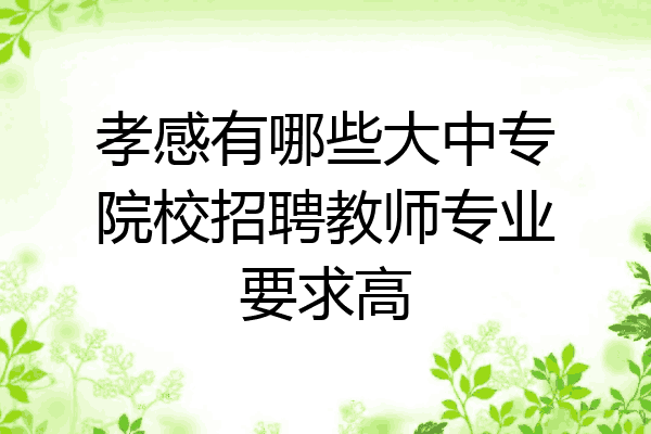 孝感有哪些大中专院校招聘教师专业要求高