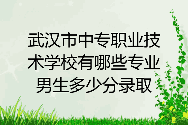 武汉市中专职业技术学校有哪些专业男生多少分录取