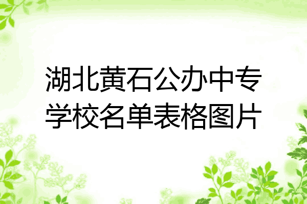 湖北黄石公办中专学校名单表格图片