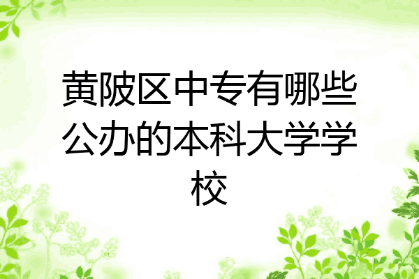 黄陂区中专有哪些公办的本科大学学校