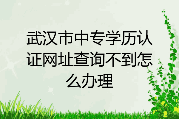 武汉市中专学历认证网址查询不到怎么办理