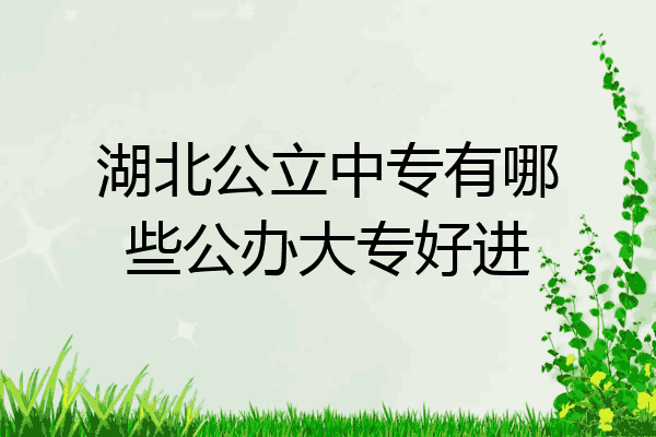 湖北公立中专有哪些公办大专好进