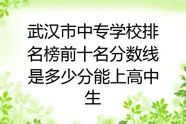 武汉市中专学校排名榜前十名分数线是多少分能上高中生