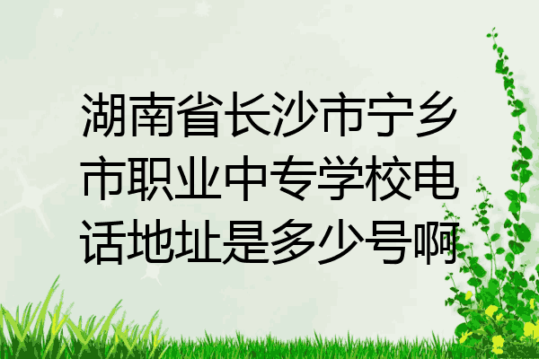 湖南省长沙市宁乡市职业中专学校电话地址是多少号啊