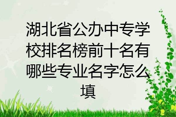 湖北省公办中专学校排名榜前十名有哪些专业名字怎么填