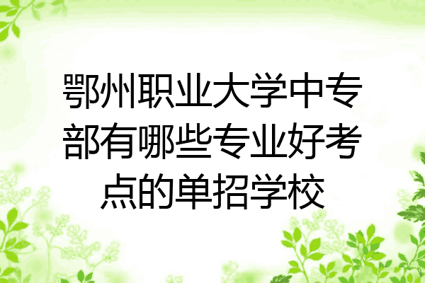鄂州职业大学中专部有哪些专业好考点的单招学校