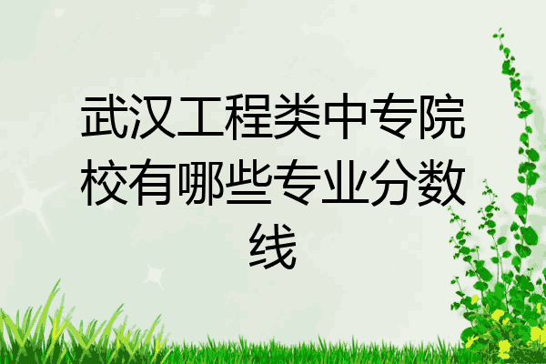 武汉工程类中专院校有哪些专业分数线