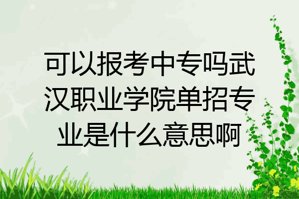 可以报考中专吗武汉职业学院单招专业是什么意思啊