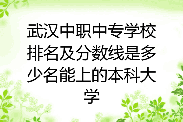 武汉中职中专学校排名及分数线是多少名能上的本科大学