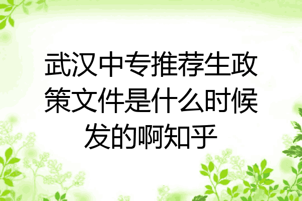 武汉中专推荐生政策文件是什么时候发的啊知乎
