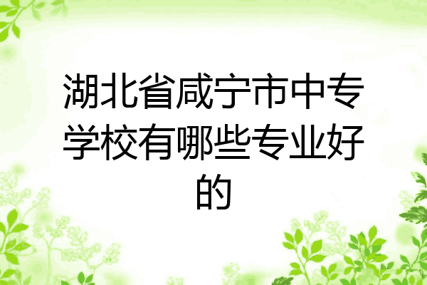 湖北省咸宁市中专学校有哪些专业好的