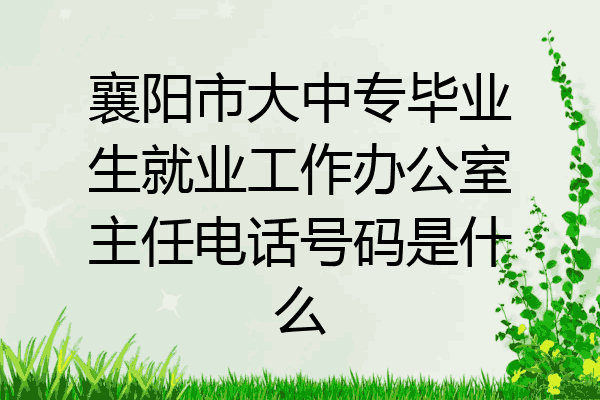 襄阳市大中专毕业生就业工作办公室主任电话号码是什么