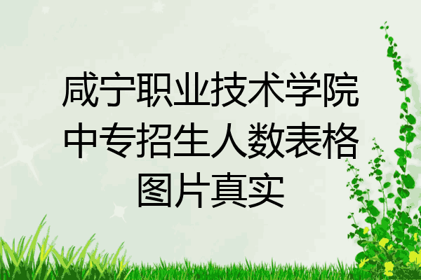 咸宁职业技术学院中专招生人数表格图片真实