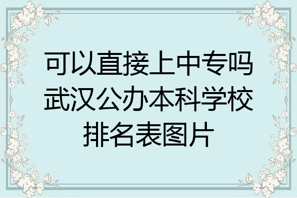 可以直接上中专吗武汉公办本科学校排名表图片