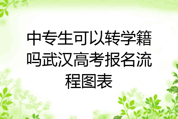 中专生可以转学籍吗武汉高考报名流程图表