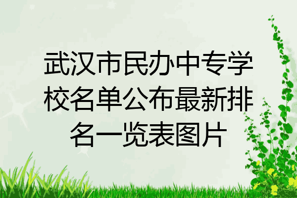 武汉市民办中专学校名单公布最新排名一览表图片