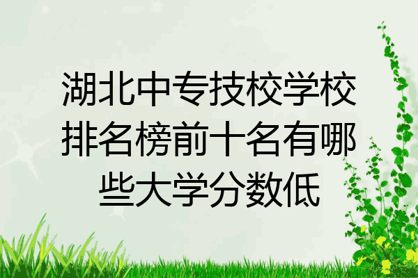 湖北中专技校学校排名榜前十名有哪些大学分数低
