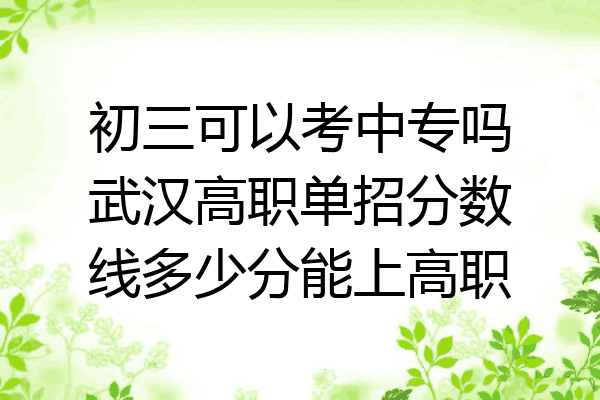初三可以考中专吗武汉高职单招分数线多少分能上高职