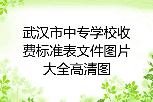 武汉市中专学校收费标准表文件图片大全高清图