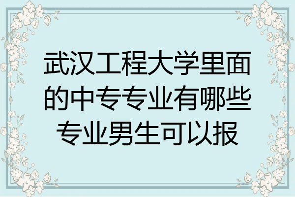 武汉工程大学里面的中专专业有哪些专业男生可以报