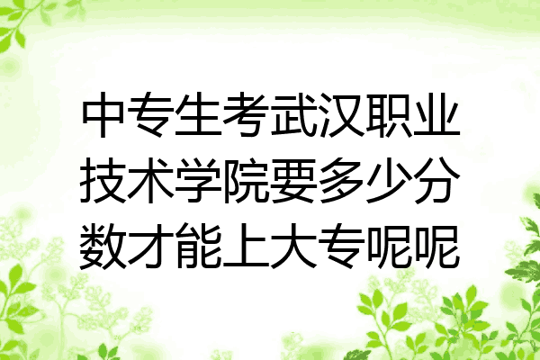 中专生考武汉职业技术学院要多少分数才能上大专呢呢