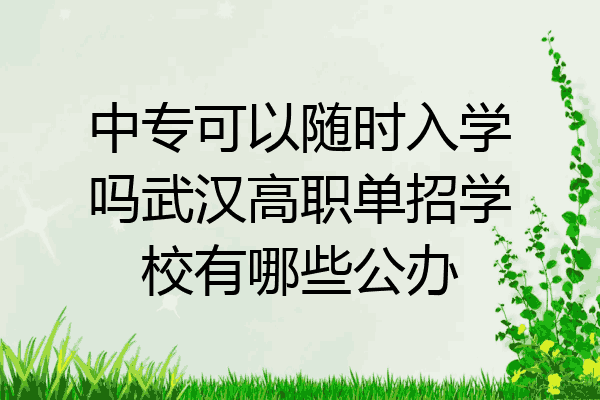 中专可以随时入学吗武汉高职单招学校有哪些公办