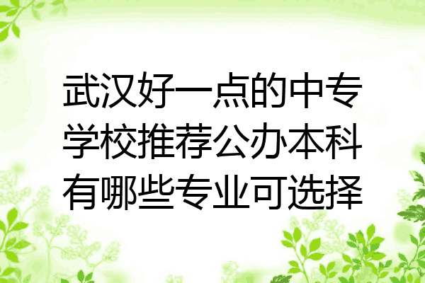 武汉好一点的中专学校推荐公办本科有哪些专业可选择