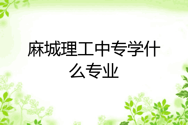 麻城理工中专学什么专业