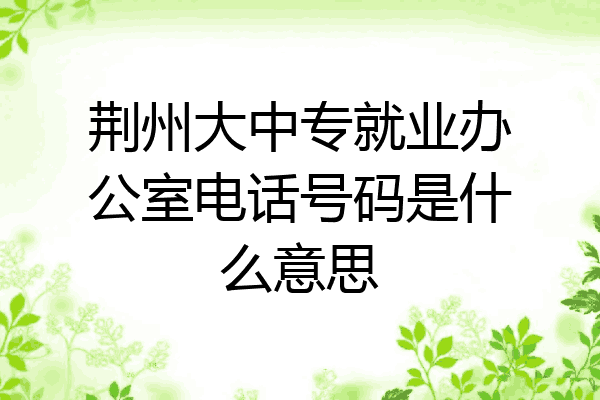 荆州大中专就业办公室电话号码是什么意思