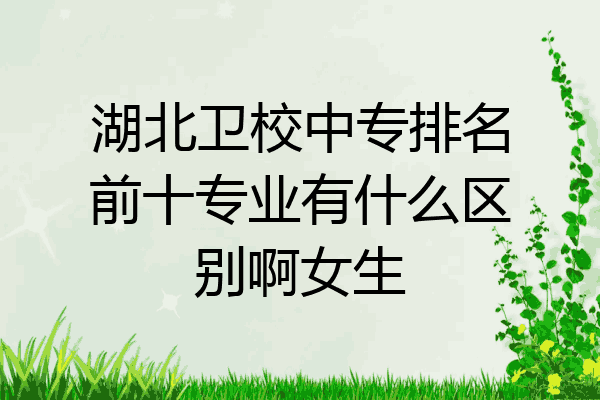 湖北卫校中专排名前十专业有什么区别啊女生
