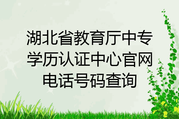 湖北省教育厅中专学历认证中心官网电话号码查询