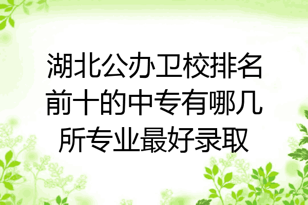 湖北公办卫校排名前十的中专有哪几所专业最好录取