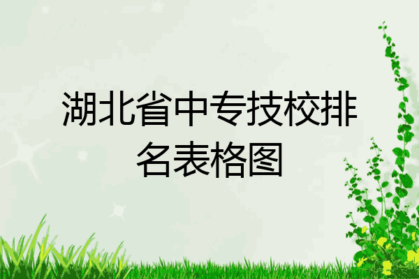 湖北省中专技校排名表格图