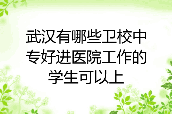 武汉有哪些卫校中专好进医院工作的学生可以上