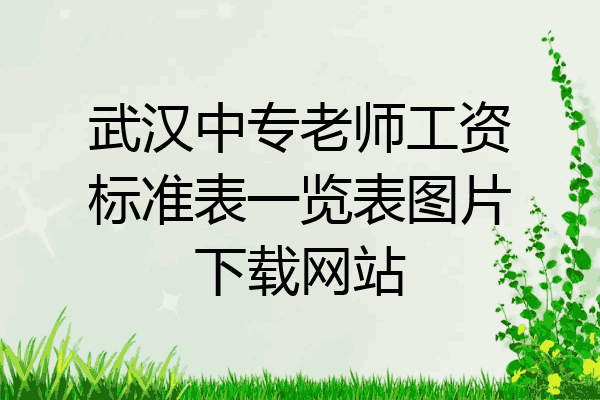 武汉中专老师工资标准表一览表图片下载网站
