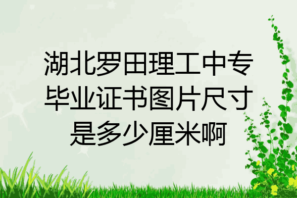 湖北罗田理工中专毕业证书图片尺寸是多少厘米啊