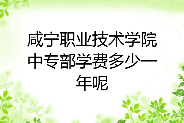 咸宁职业技术学院中专部学费多少一年呢