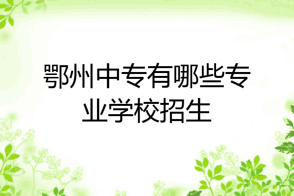鄂州中专有哪些专业学校招生