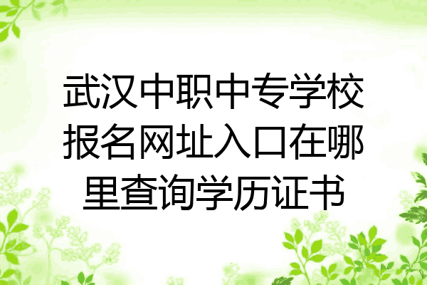 武汉中职中专学校报名网址入口在哪里查询学历证书