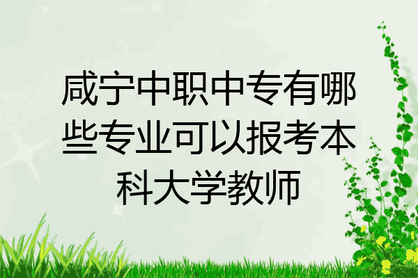 咸宁中职中专有哪些专业可以报考本科大学教师